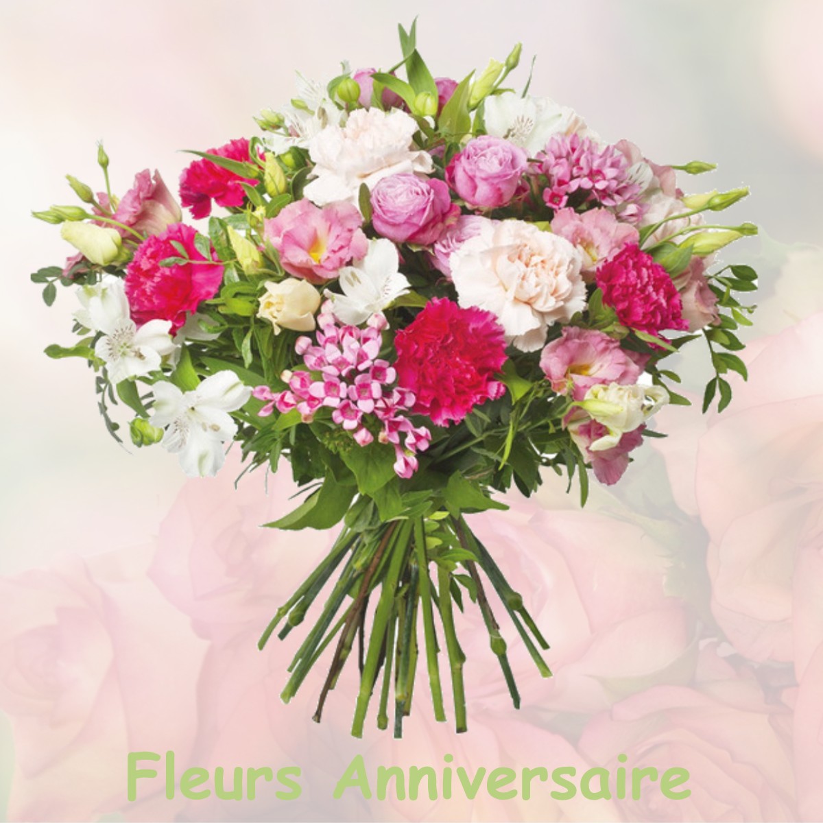 fleurs anniversaire STEINBOURG